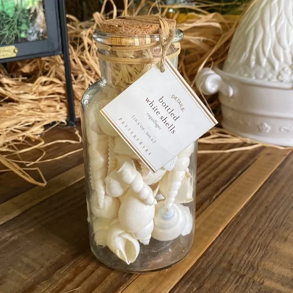 Pottery Barn Sally’s Seashore Seashells “Shells In A Bottle” Vase Filler 🐚 - Picture 1 of 16
